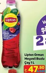 LİPTON ORMAN MEYVELİ SOĞUK ÇAY 1 L fiyat ve kampanya bilgisi